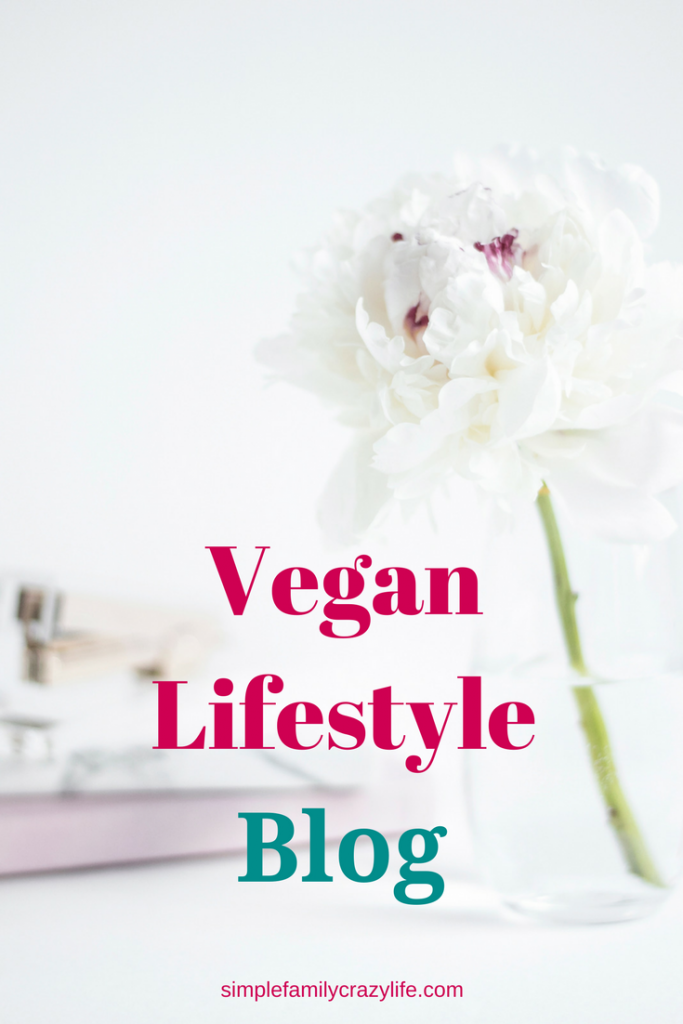 2017 year-in-review and blogging plans for 2018 - Vegan Lifestyle Blog