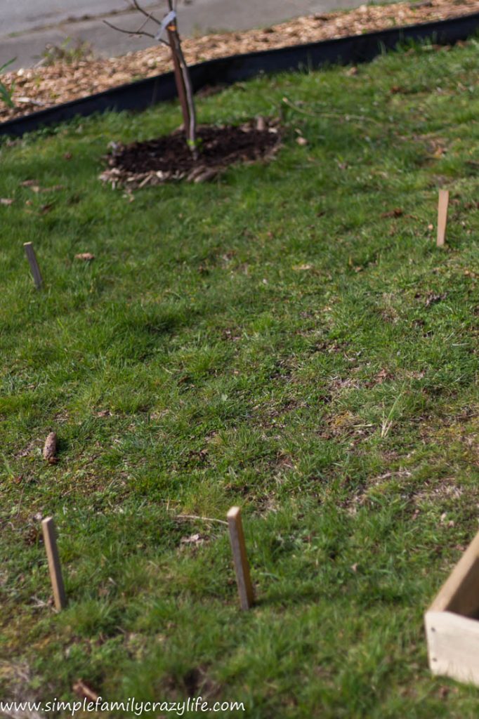 Learn how to build irregular shape raised garden beds with this easy tutorial.
