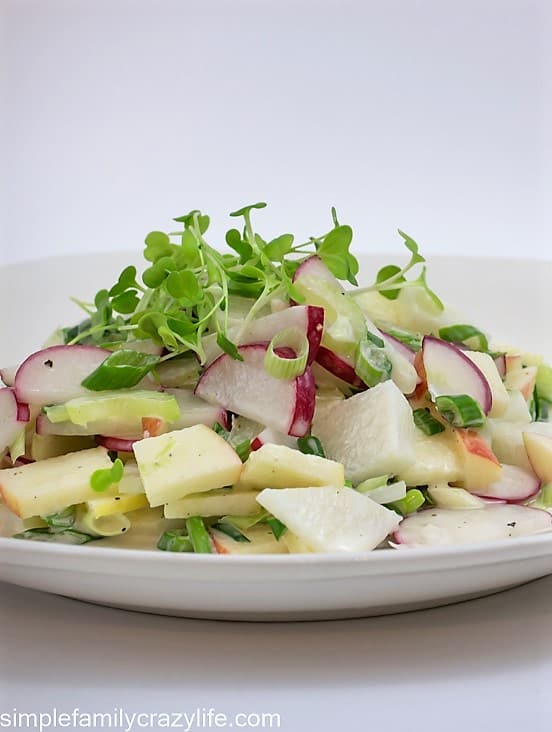 Vegan spring vegetable salad with radishes and apples